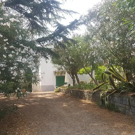 Σπίτι διακοπών I Gechi - Marina di Campo