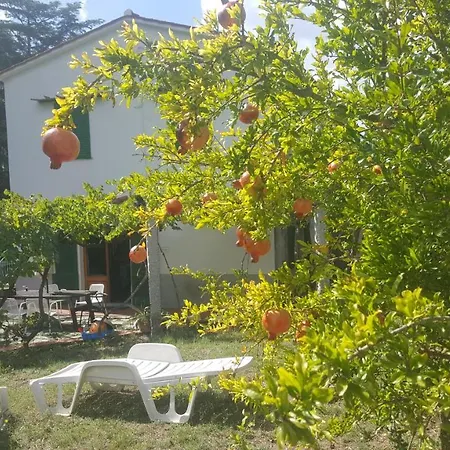 I Gechi - Marina di Campo